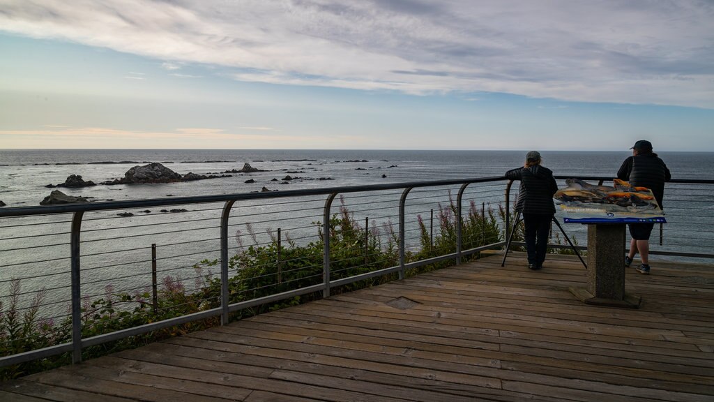 Cape Arago State Park showing general coastal views, a sunset and views