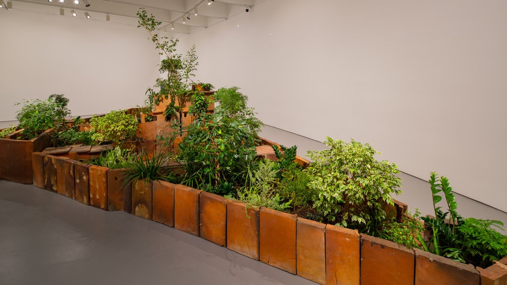 Museo y jardín de esculturas Hirshhorn mostrando un parque y vista interna