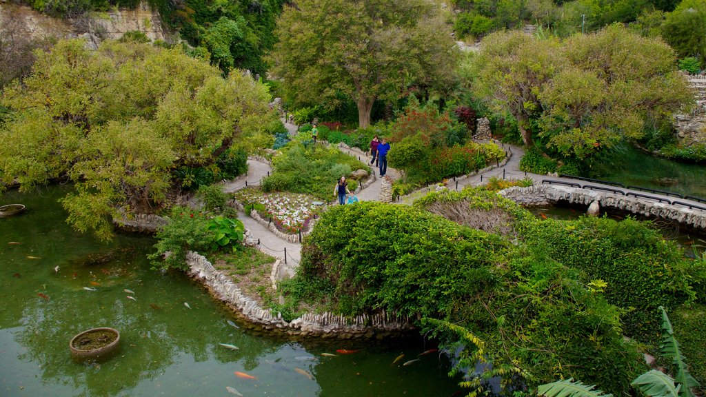 Jardines de té japonés mostrando un estanque, un parque y vistas panorámicas