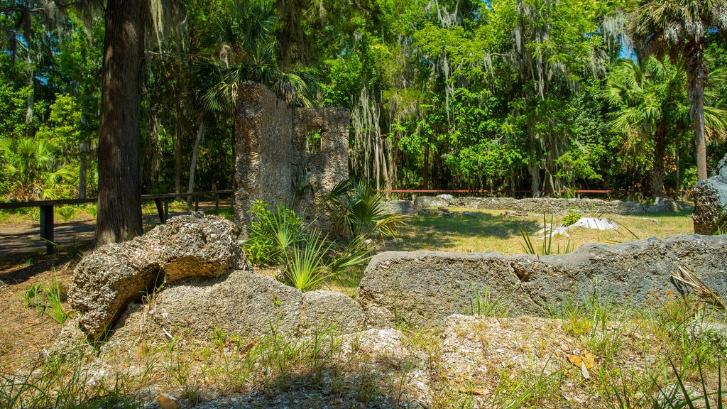 Sitio histórico de Wormsloe mostrando un parque