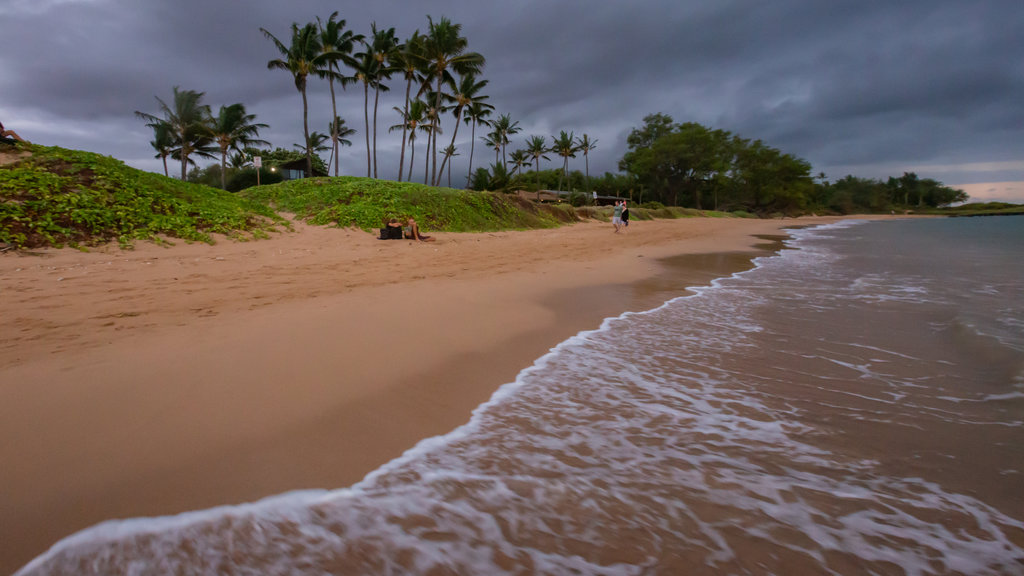 Kihei menampilkan pemandangan umum pantai dan pantai