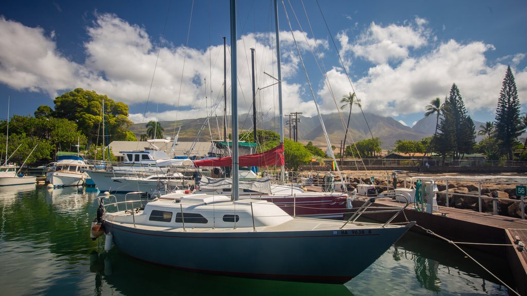 Lahaina ofreciendo una bahía o un puerto