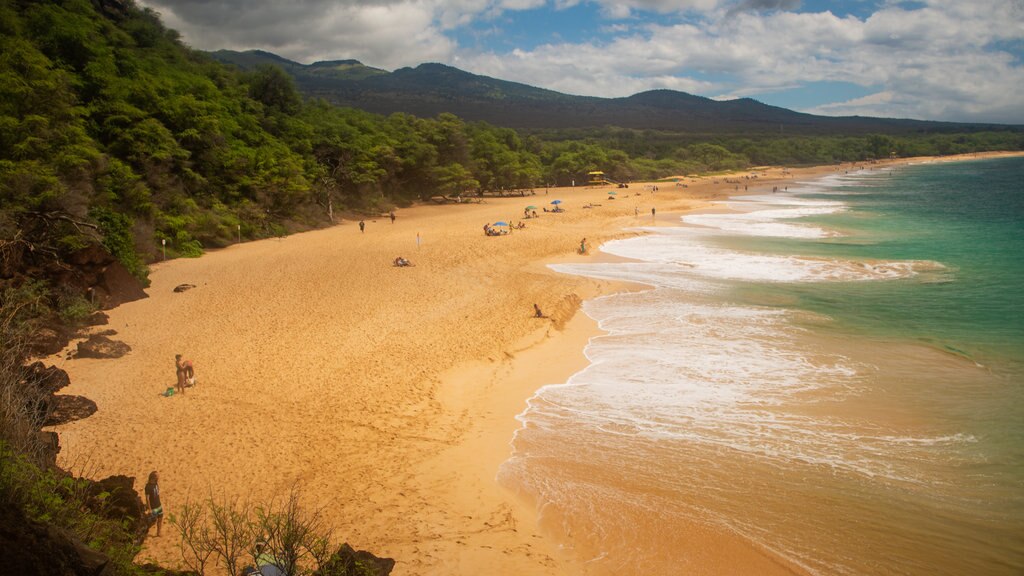 Makena State Park Beach featuring general coastal views, landscape views and a beach