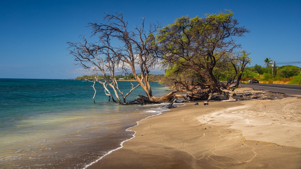 Maui montrant une plage de sable et paysages côtiers