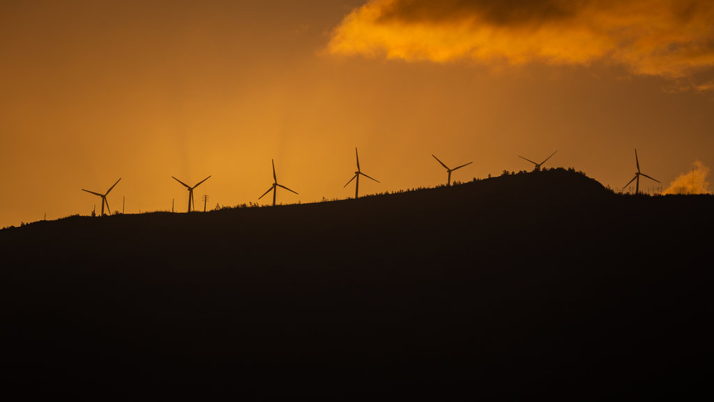 Maui mettant en vedette paysages paisibles et un coucher de soleil