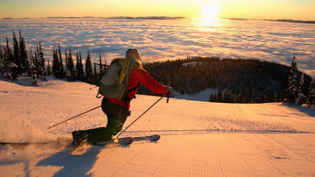 Montana mostrando esquiar en la nieve, una puesta de sol y nieve