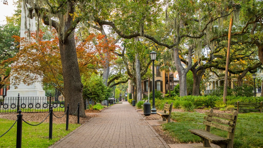 Monterey Square som inkluderar en park