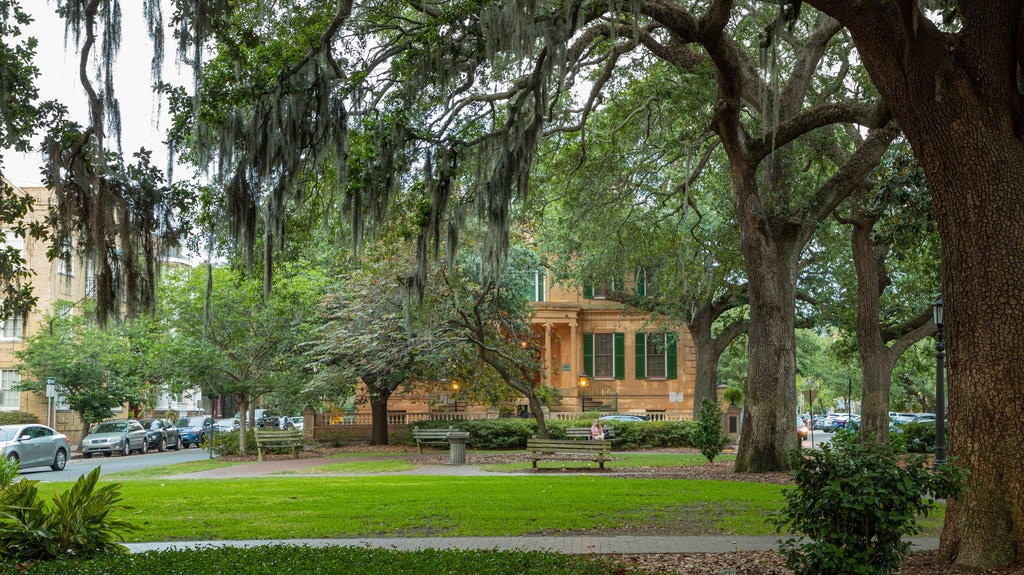 Plaza Oglethorpe ofreciendo un parque