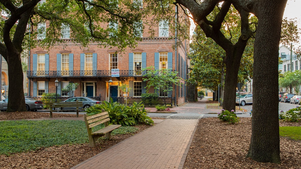 Oglethorpe Square featuring a park