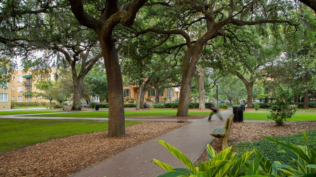 Oglethorpe Square caracterizando um jardim