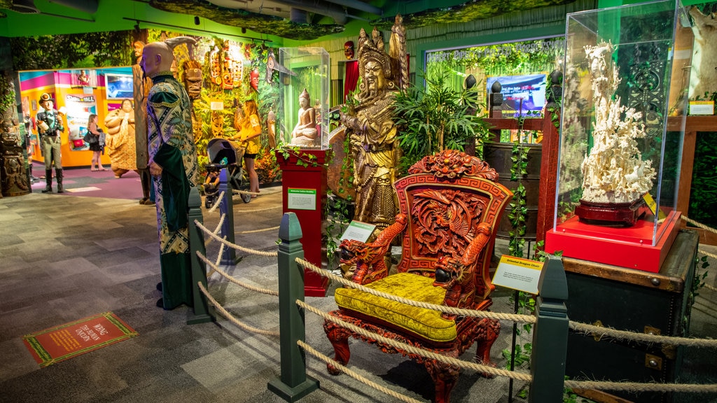 Ripley\'s Believe It Or Not Museum bevat interieur