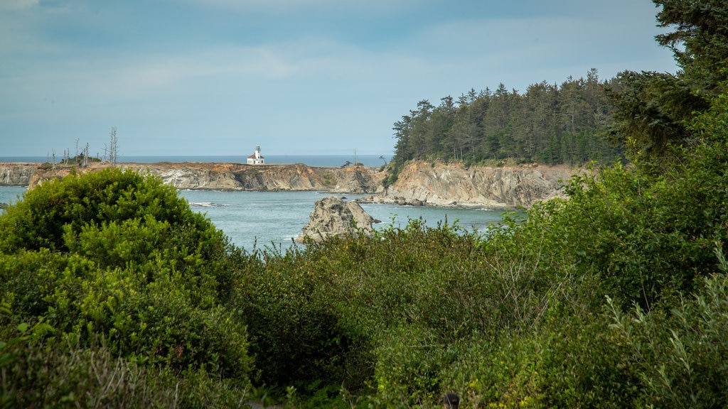 Shore Acres State Park montrant rochers au bord de la mer et paysages côtiers