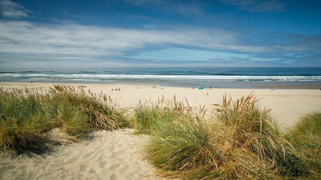 South Beach State Park showing general coastal views and a beach