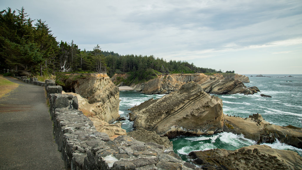 Shore Acres State Park showing general coastal views and rocky coastline