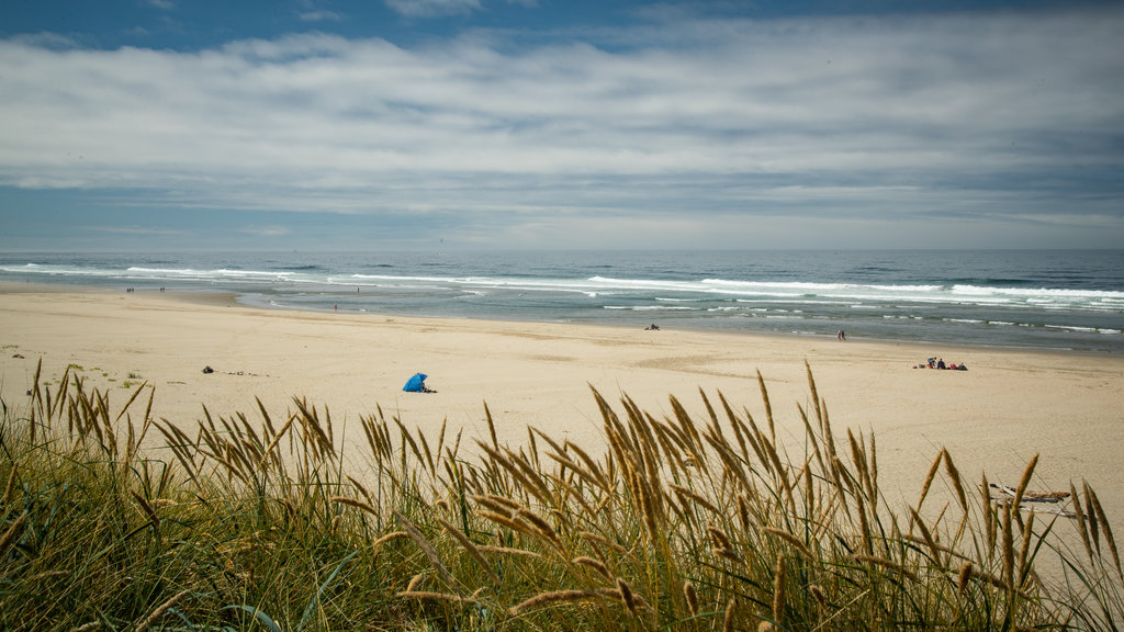 South Beach State Park showing a sandy beach and general coastal views