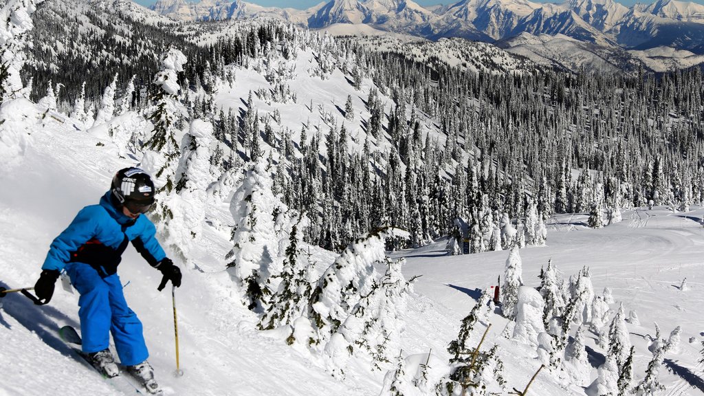 Whitefish which includes landscape views, snow and snow skiing