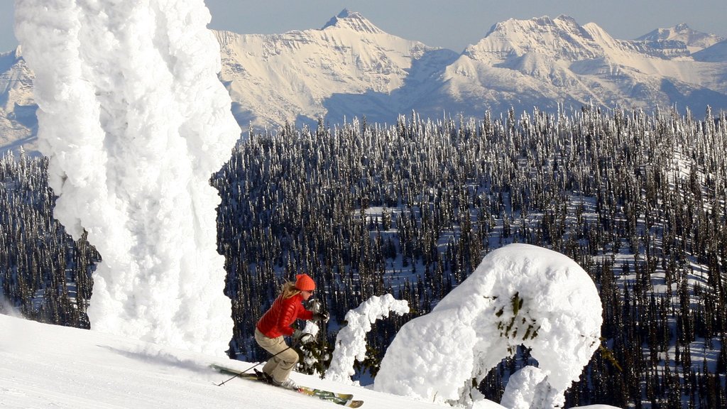 Whitefish showing mountains, snow skiing and landscape views