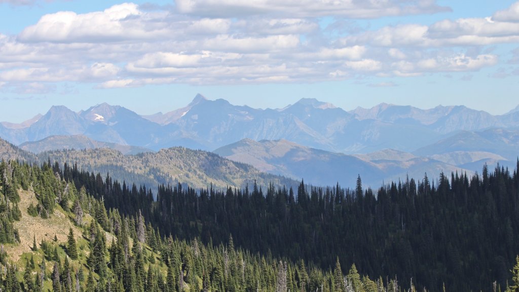 Whitefish Mountain Ski Resort which includes tranquil scenes, mountains and landscape views