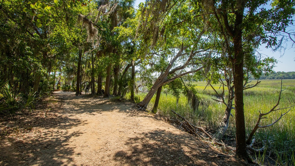 Sitio histórico de Wormsloe ofreciendo un jardín