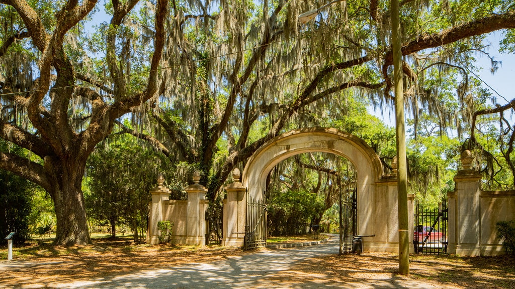 Wormsloe Historic Site which includes a garden