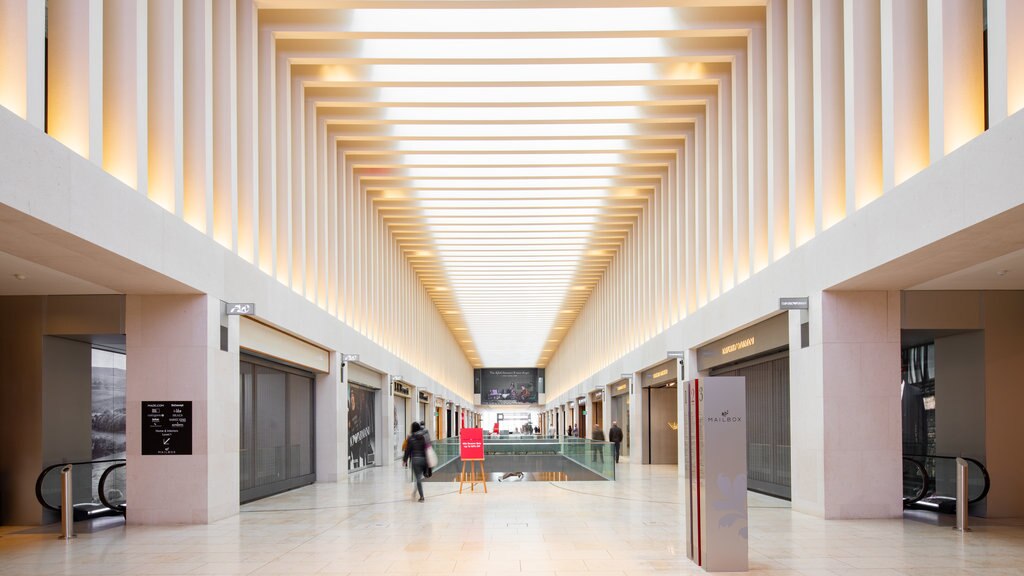 The Mailbox showing shopping, interior views and signage