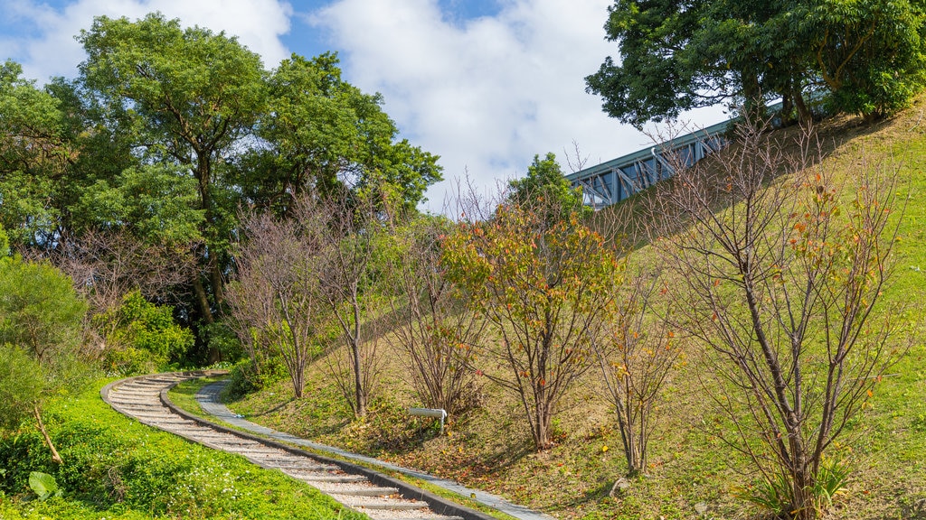 Taipei showing a garden