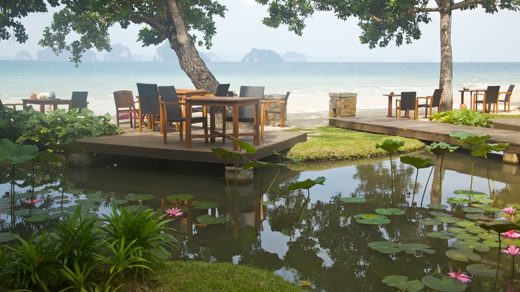 Ao Nang Beach which includes a pond and general coastal views