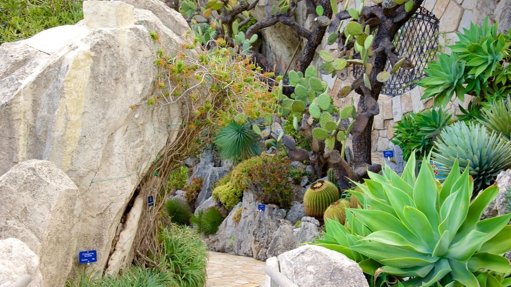 Jardín Exótico mostrando un parque