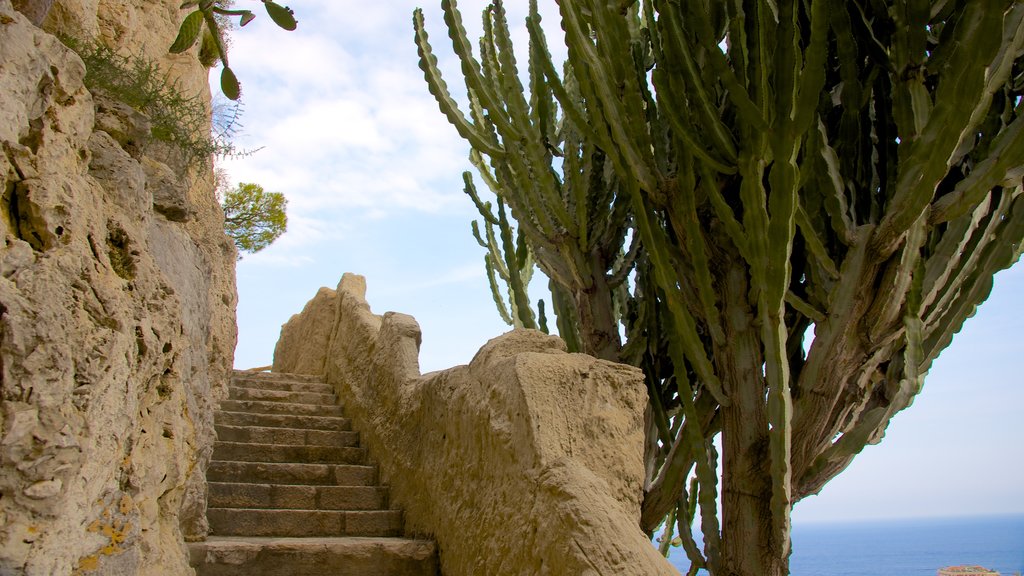 Jardín Exótico