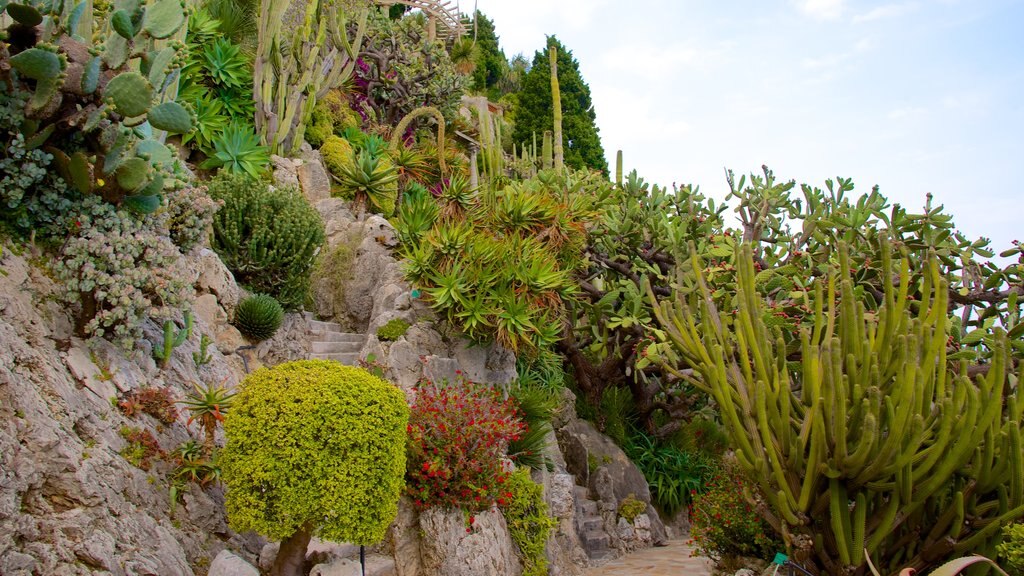 Jardin Exotique bevat woestijnen en een tuin