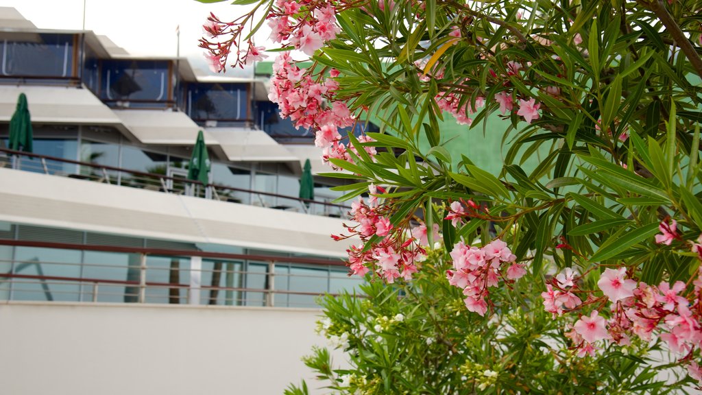 Grimaldi Forum showing wild flowers