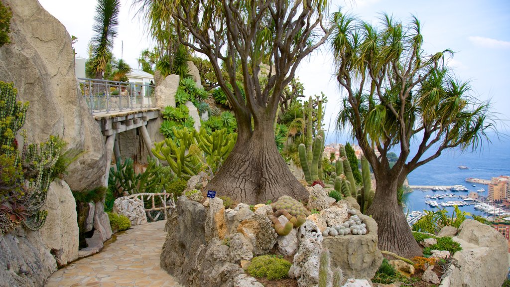 Jardín Exótico que incluye un parque