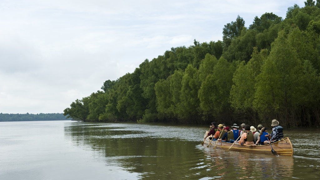 Helena featuring a river or creek and kayaking or canoeing as well as a small group of people