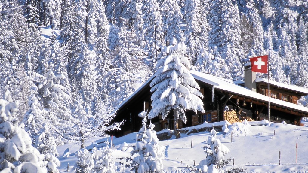 Villars-sur-Ollon som inkluderar snö och en liten stad eller by