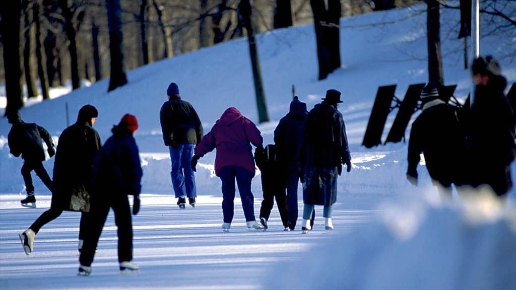 Parc Jean-Drapeau som inkluderar skridskoåkning, snö och en trädgård