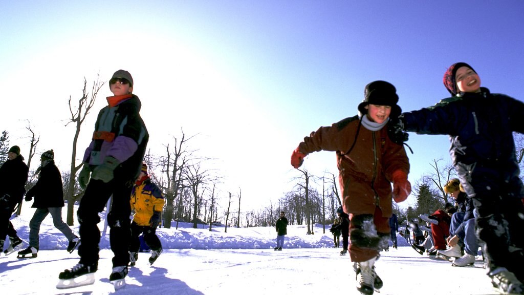 Parc Jean-Drapeau featuring a park, snow and ice skating