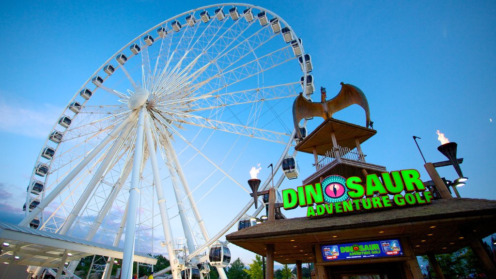 Niagara SkyWheel which includes rides and signage