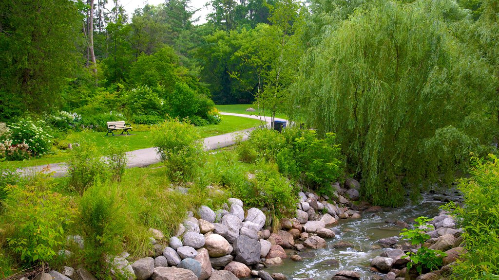 Edward Gardens which includes a park and a river or creek