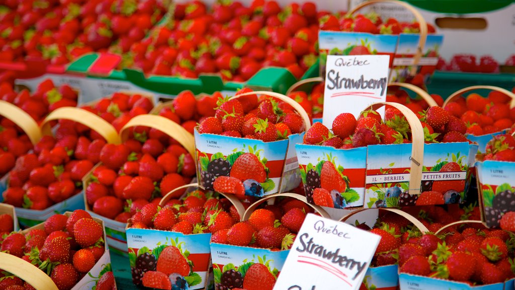 Byward Market featuring food, signage and markets