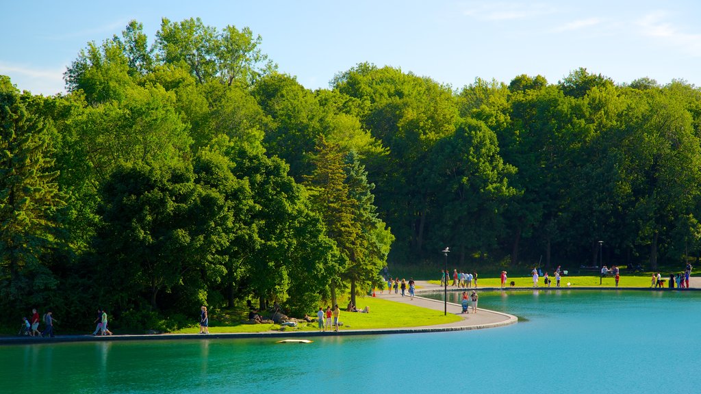 Mount Royal Park som inkluderar en trädgård och en sjö eller ett vattenhål såväl som en stor grupp av människor