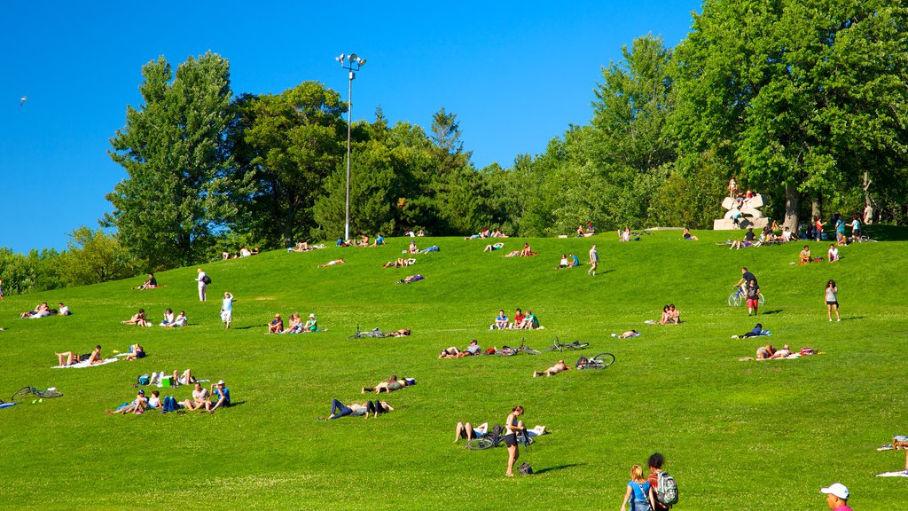 Mount Royal Park que inclui piquenique e um jardim assim como um grande grupo de pessoas