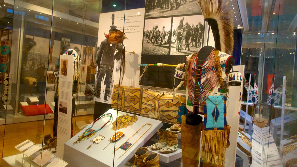 Royal Ontario Museum showing interior views