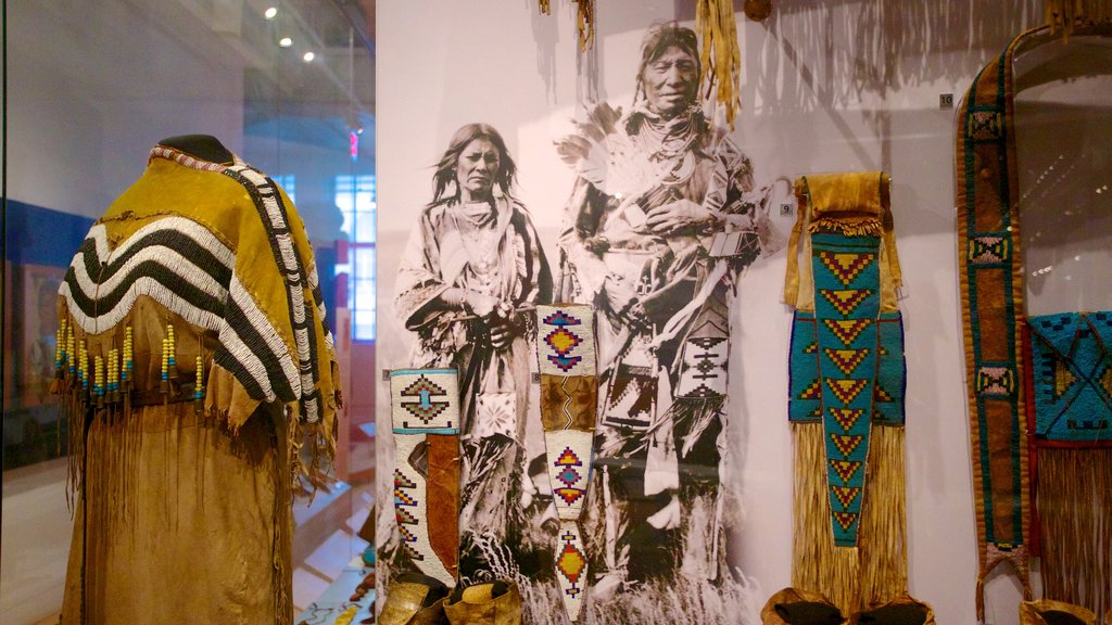 Royal Ontario Museum featuring interior views