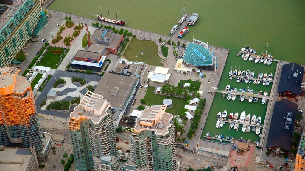 CN Tower showing a marina, a city and a skyscraper