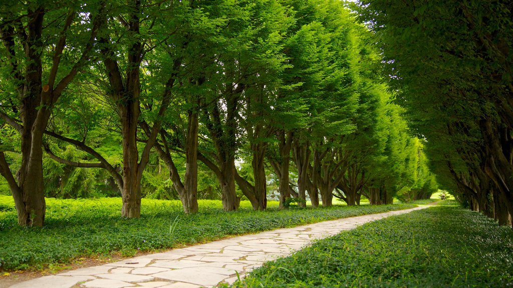 Jardín Botánico de Niagara Parks que incluye un parque