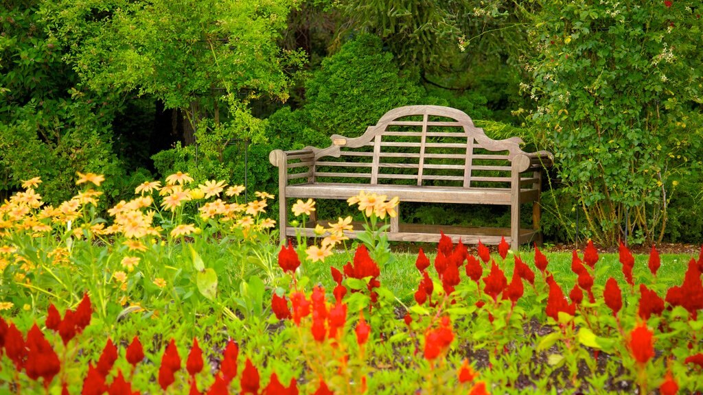 Jardín Botánico de Niagara Parks mostrando un parque, flores silvestres y flores