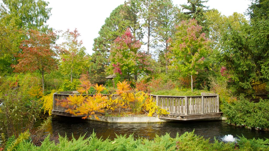 Jardín Botánico de Niagara Parks que incluye un estanque y un jardín