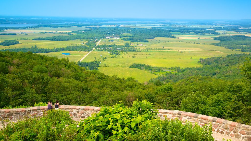 Parque de Gatineau mostrando imágenes de bosques, vista panorámica y vista