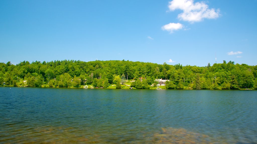 Parque de Gatineau ofreciendo un lago o espejo de agua, vista panorámica y vista general a la costa