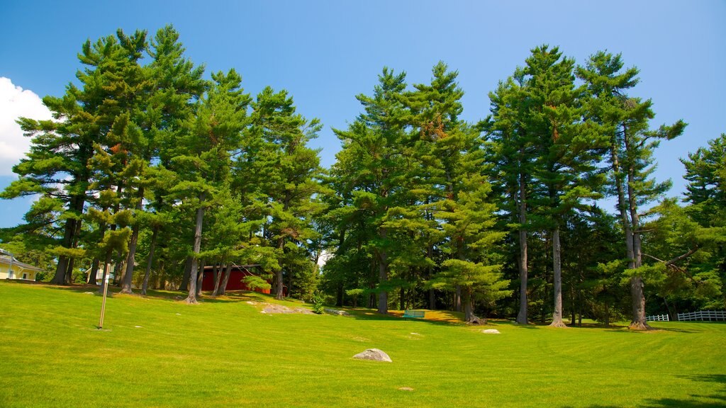 Gatineau Park mostrando um jardim